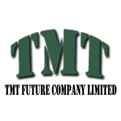 TMT Future